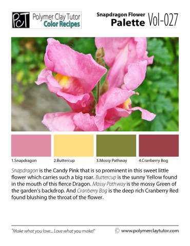 Snapdragon Flower Palette c-027 Premo