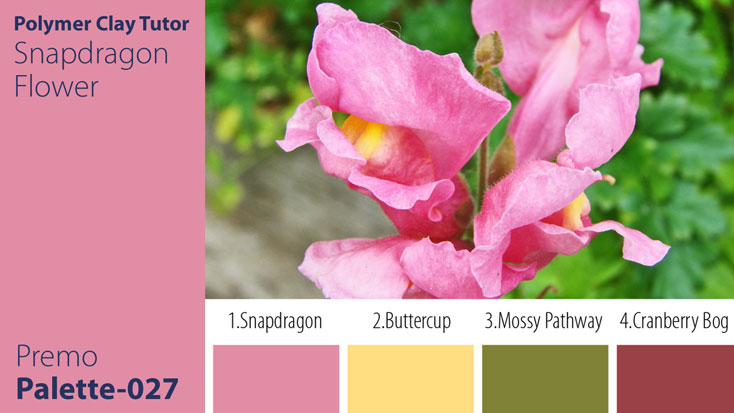 Snapdragon Flower Palette c-027 Premo