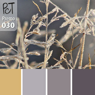 Frosty Field Palette c-030 Premo