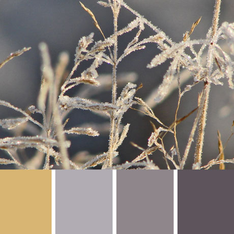 Frosty Field Palette c-030 Premo