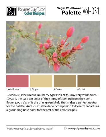 Vegas Wildflower Palette c-031 Premo