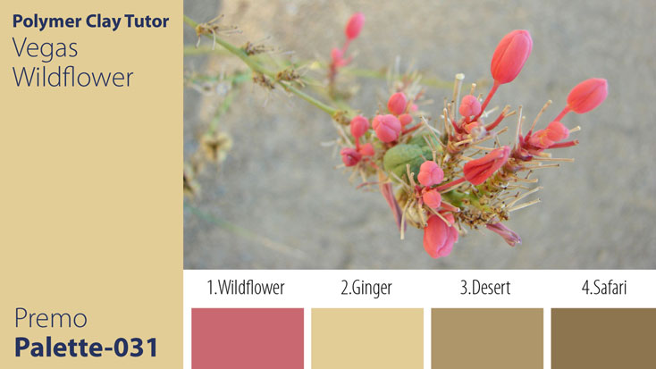 Vegas Wildflower Palette c-031 Premo