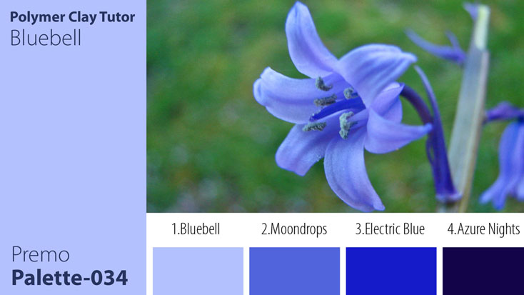 Bluebell Palette c-034 Premo