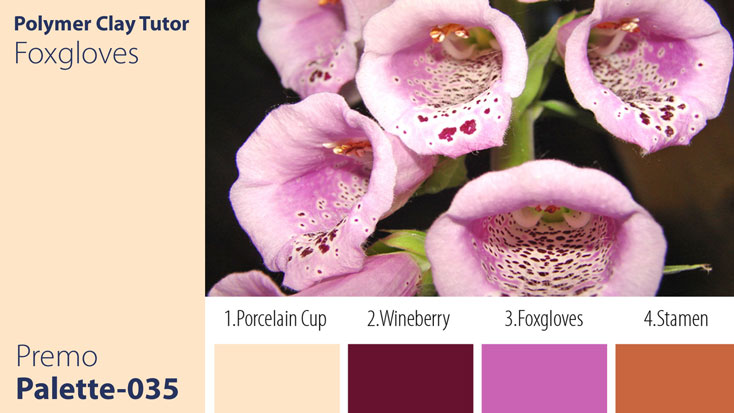 c-035 Foxgloves Palette Premo Foxgloves Palette c-035 Premo