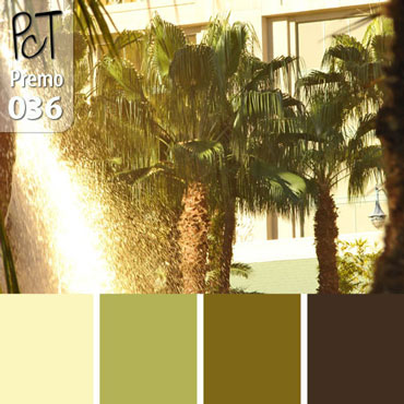 Desert Oasis Palette c-036 Premo