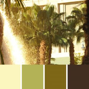 Desert Oasis Palette c-036 Premo
