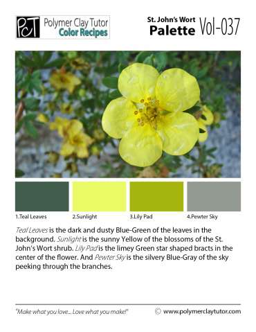 St. John?s Wort Palette c-037 Premo