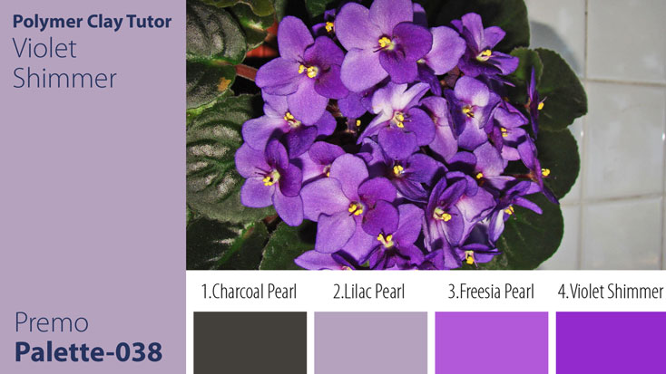 Violet Shimmer Palette c-038 Premo