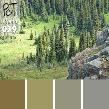 Forest Landscape Palette c-039 Premo