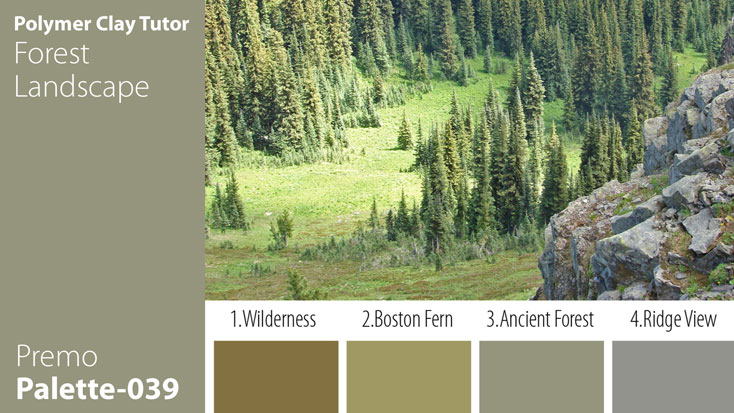 Forest Landscape Palette c-039 Premo