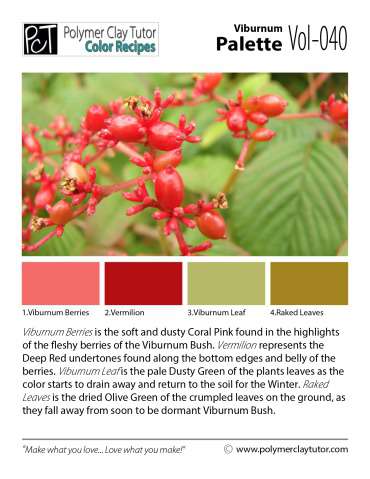 Viburnum Palette c-040 Premo
