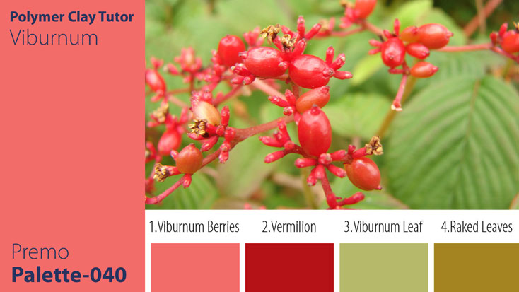 Viburnum Palette c-040 Premo