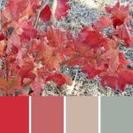 Vine Maple Palette c-041 Premo