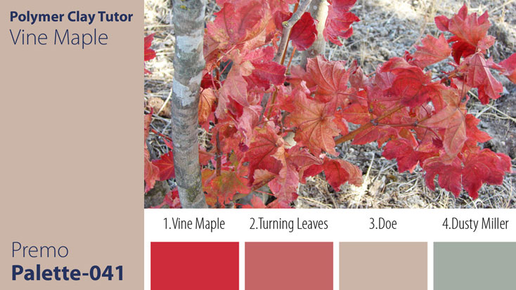 Vine Maple Palette c-041 Premo