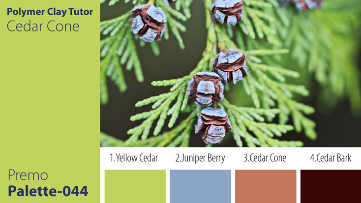 c-044 Cedar Cone Palette Premo Cedar Cone Palette c-044 Premo