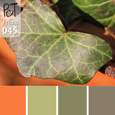 Ivy Leaf Palette c-045 Premo