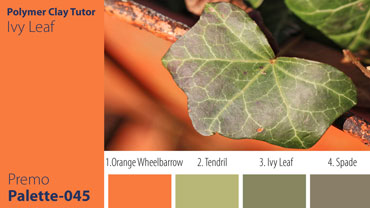 Ivy Leaf Palette c-045 Premo