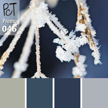 Shiver Palette c-046 Premo