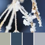 Shiver Palette c-046 Premo