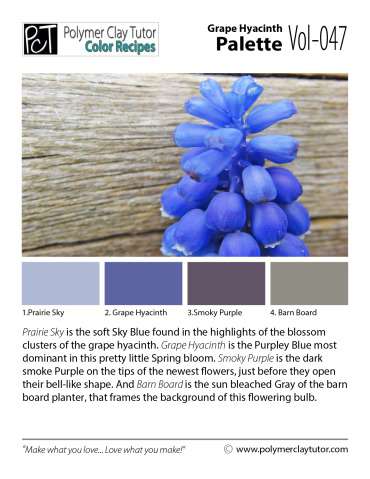 Grape Hyacinth Palette c-047 Premo