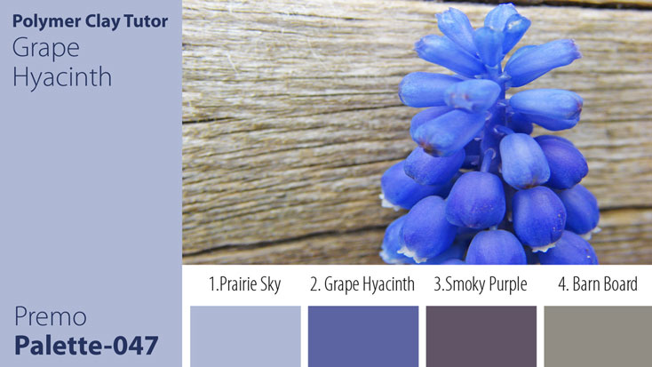 Grape Hyacinth Palette c-047 Premo