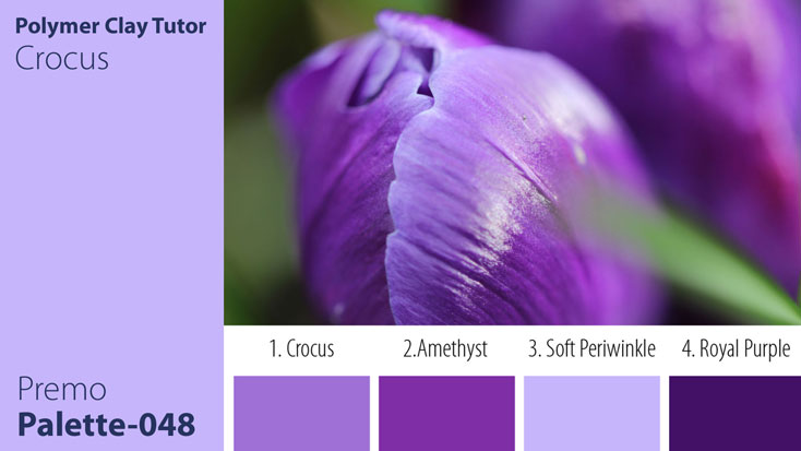 Crocus Palette c-048 Premo