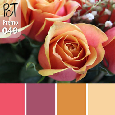 Cherry Brandy Palette c-049 Premo