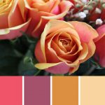 Cherry Brandy Palette c-049 Premo