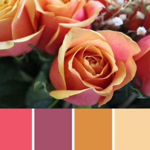 Cherry Brandy Palette c-049 Premo