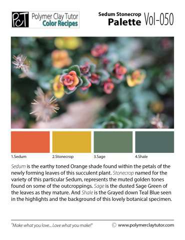 Sedum Stonecrop Palette c-050 Premo