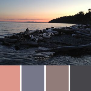 White Rock Beach Palette c-052 Premo
