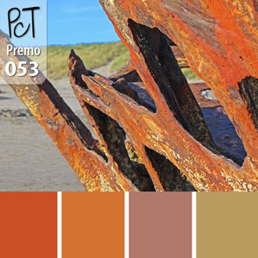 Oregon Shipwreck Palette c-053 Premo