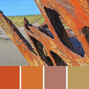 Oregon Shipwreck Palette c-053 Premo