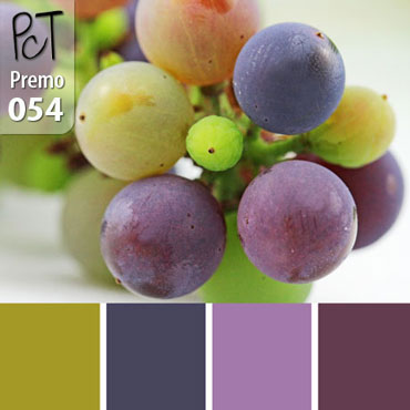 Concord Grape Palette c-054 Premo