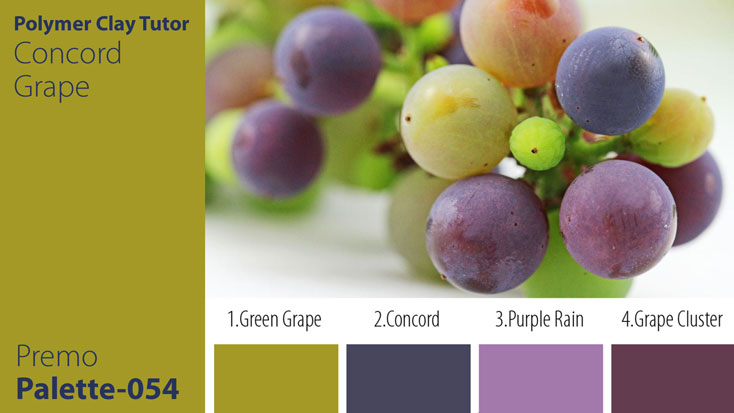 Concord Grape Palette c-054 Premo