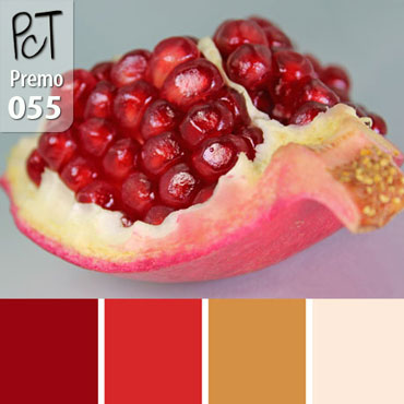Pomegranate Palette c-055 Premo