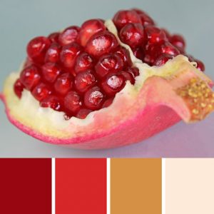 Pomegranate Palette c-055 Premo