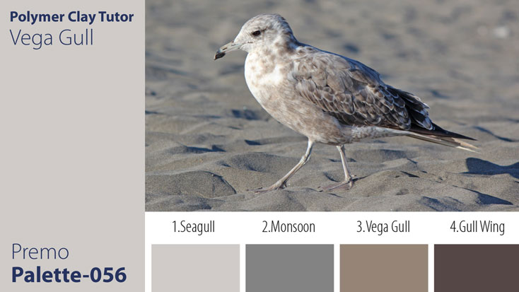 Vega Gull Palette c-056 Premo
