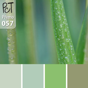 Rain Dance Palette c-057 Premo