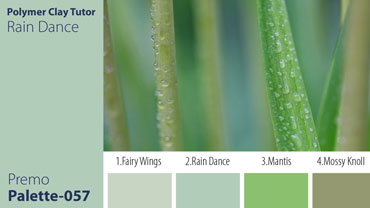 Rain Dance Palette c-057 Premo