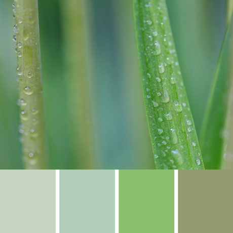 Rain Dance Palette c-057 Premo