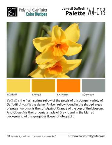Jonquil Daffodil Palette c-058 Premo