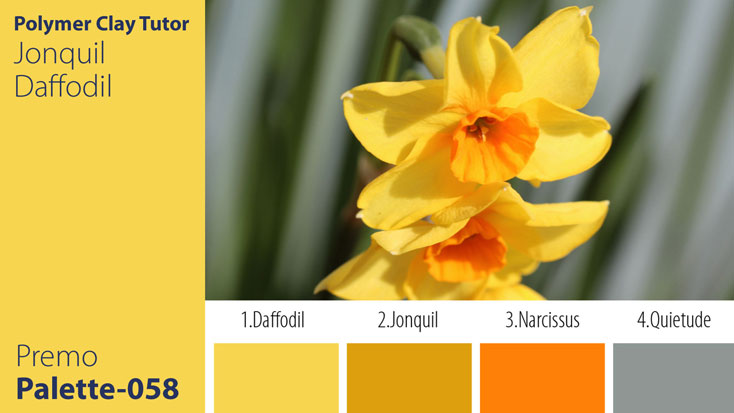 c-058 Jonquil Daffodil Palette Premo Jonquil Daffodil Palette c-058 Premo