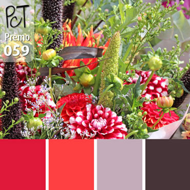 Sunday Market Palette c-059 Premo