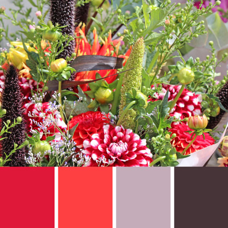 Sunday Market Palette c-059 Premo