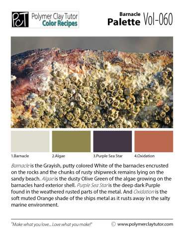 Barnacle Palette c-060 Premo