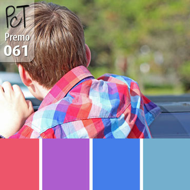 Fisher?s Plaid Shirt Palette c-061 Premo