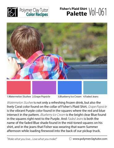 Fisher?s Plaid Shirt Palette c-061 Premo