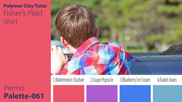 Fisher?s Plaid Shirt Palette c-061 Premo