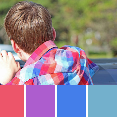 Fisher?s Plaid Shirt Palette c-061 Premo